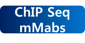 ChIP.png